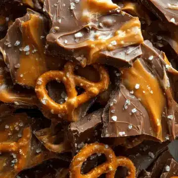Salted Caramel Pretzel Bark