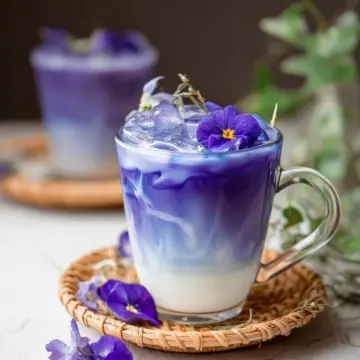 Butterfly Pea Milk | Butterfly Pea Latte | นมสดอัญชัน